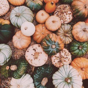 50% OFF AUTUMN SALE